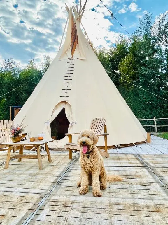 Tipi Marie Glamping in style tente (1)